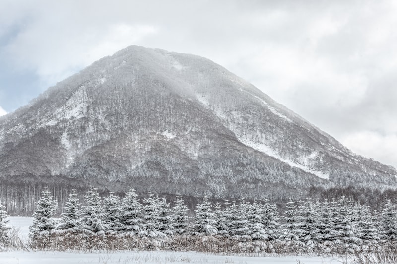 ニセコ