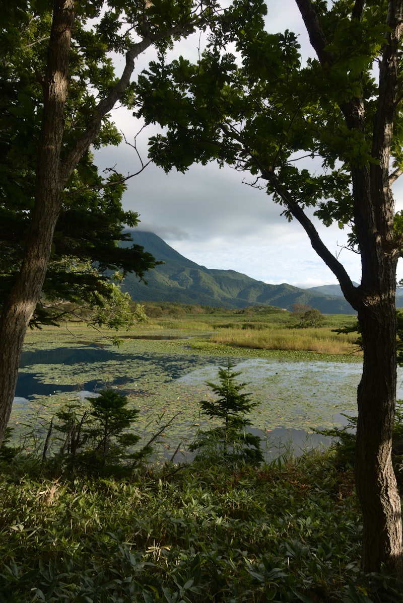 知床半島